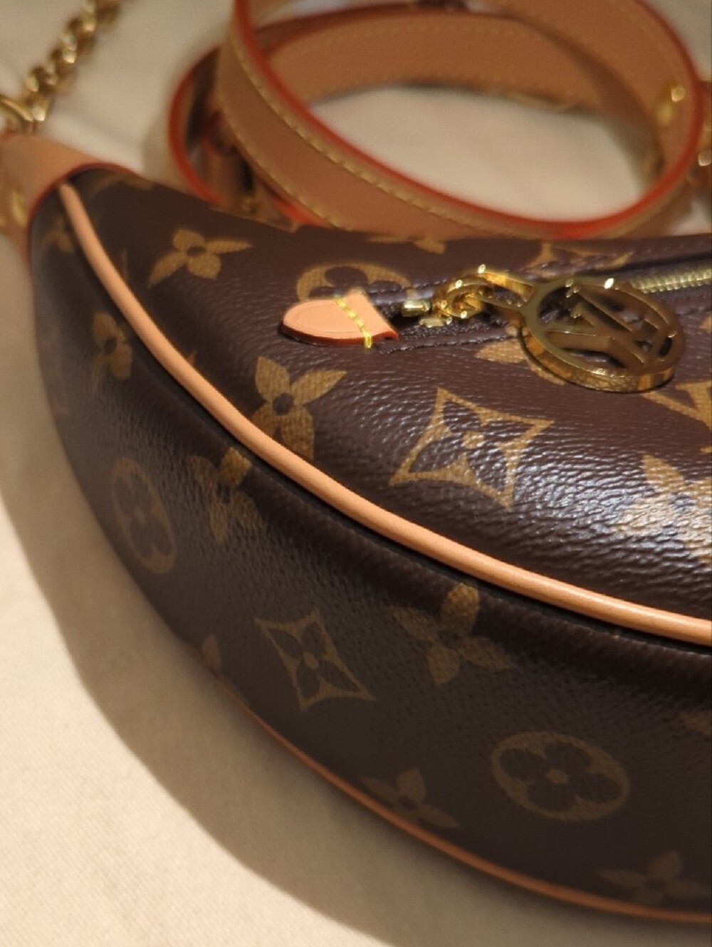 Louis Vuitton Monogram Loop - Picture 9 of 11